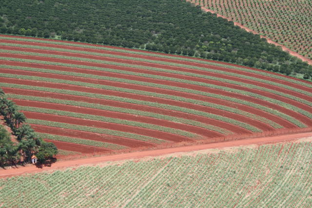 Imagem de Recuperação dos recursos hídricos impactados em áreas agrícolas