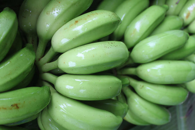 Imagem de Banana - BRS Conquista