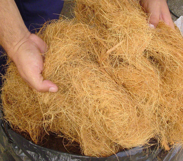 Image of <strong>Processing of green coconut shells for the production of fiber and powder</strong>