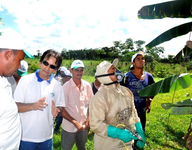 Image of Substrato para produção de mudas de maracujazeiro a partir de misturas de gongocomposto e resíduos vegetais