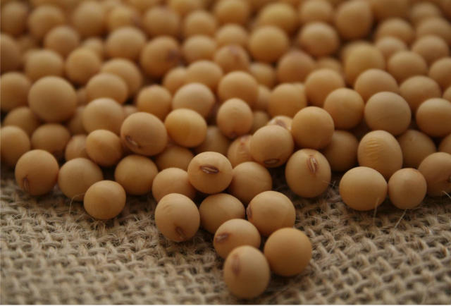 Image of Soja BRS 517