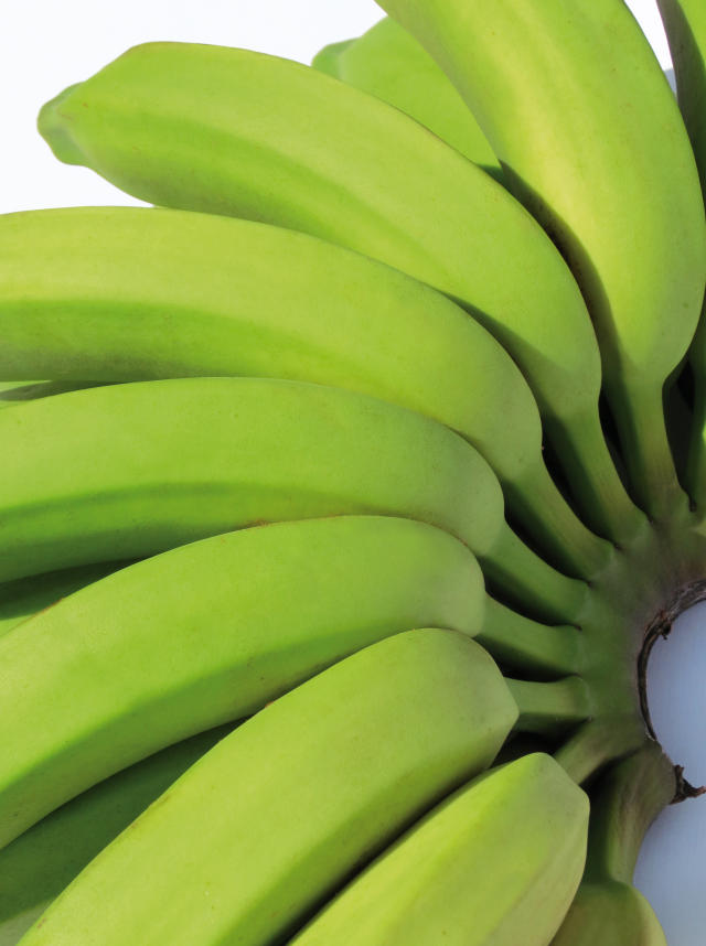 Imagem de Banana BRS Platina
