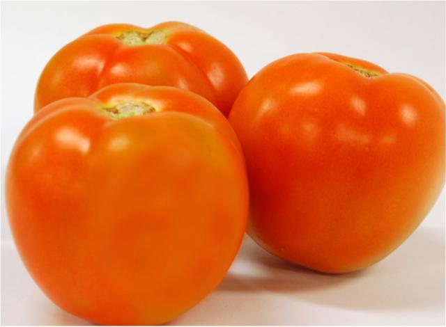 Image of Tomate BRS Kiara