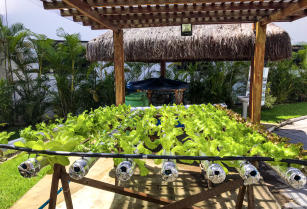Aquaponia Residencial