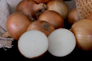 Cebola BRS Prima
