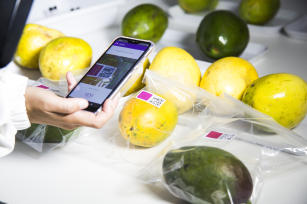 Sistema de rastreabilidade e monitoramento do grau de amadurecimento de fruto