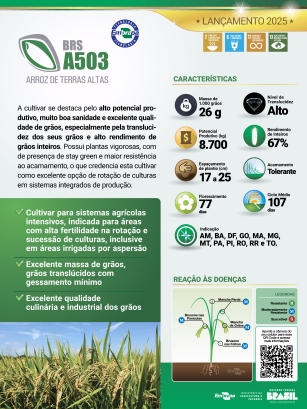 BRS A503