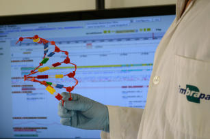 Bioinformática.