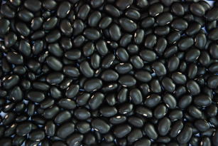 CULTIVAR DE FEIJÃO PRETO BRS ESTEIO